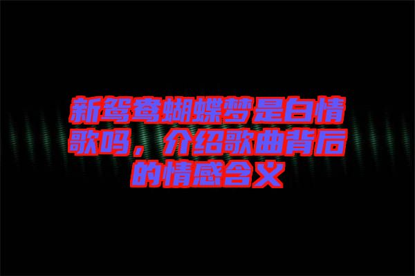 新鴛鴦蝴蝶夢(mèng)是白情歌嗎，介紹歌曲背后的情感含義