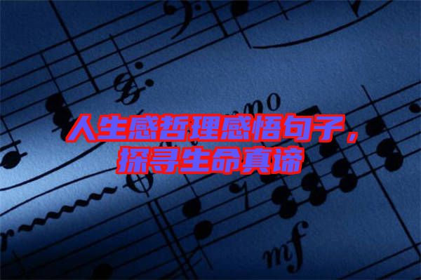 人生感哲理感悟句子，探尋生命真諦