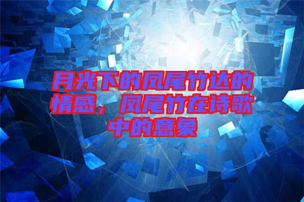 月光下的鳳尾竹達的情感，鳳尾竹在詩歌中的意象
