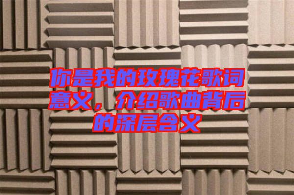 你是我的玫瑰花歌詞意義，介紹歌曲背后的深層含義