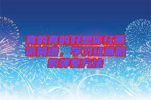 真的真的好想你紅薔薇簡(jiǎn)譜，學(xué)習(xí)紅薔薇的彈奏方法