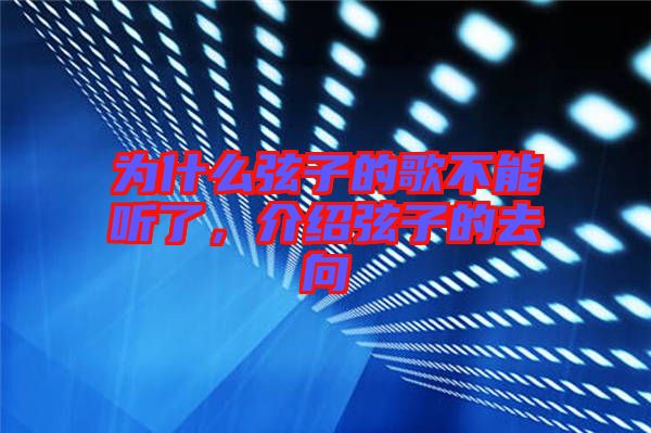 為什么弦子的歌不能聽了，介紹弦子的去向