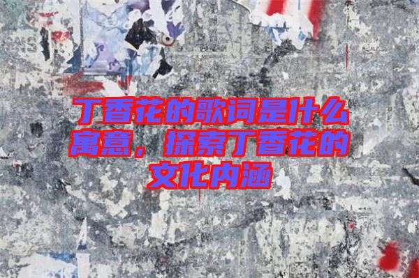 丁香花的歌詞是什么寓意，探索丁香花的文化內(nèi)涵