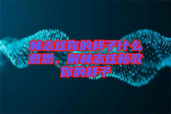 林志炫你的樣子什么意思，解林志炫新歌你的樣子