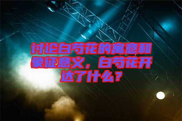 討論白芍花的寓意和象征意義，白芍花開達(dá)了什么？