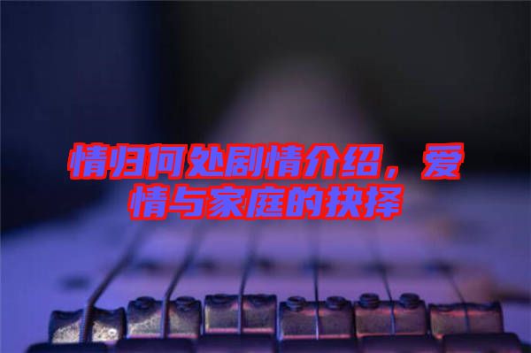 情歸何處劇情介紹，愛(ài)情與家庭的抉擇