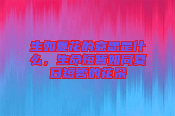 生如夏花的意思是什么，生命短暫如同夏日短暫的花朵