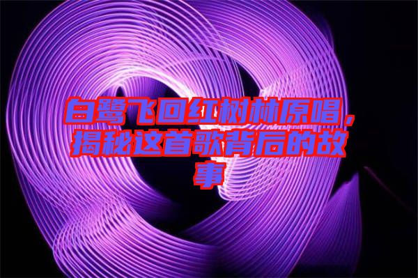 白鷺飛回紅樹林原唱，揭秘這首歌背后的故事