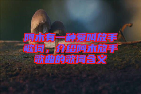 阿木有一種愛叫放手歌詞，介紹阿木放手歌曲的歌詞含義
