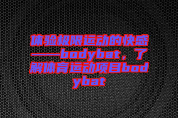 體驗(yàn)極限運(yùn)動(dòng)的快感——bodybat，了解體育運(yùn)動(dòng)項(xiàng)目bodybat