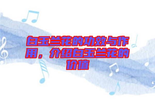 白玉蘭花的功效與作用，介紹白玉蘭花的價(jià)值