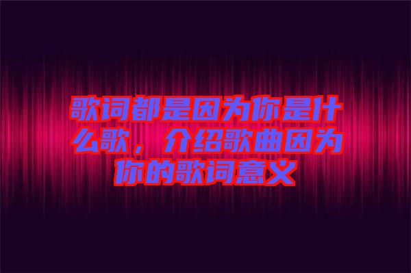歌詞都是因?yàn)槟闶鞘裁锤?，介紹歌曲因?yàn)槟愕母柙~意義