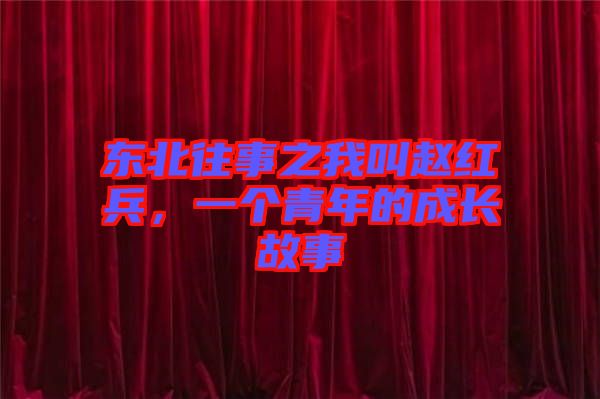 東北往事之我叫趙紅兵，一個青年的成長故事