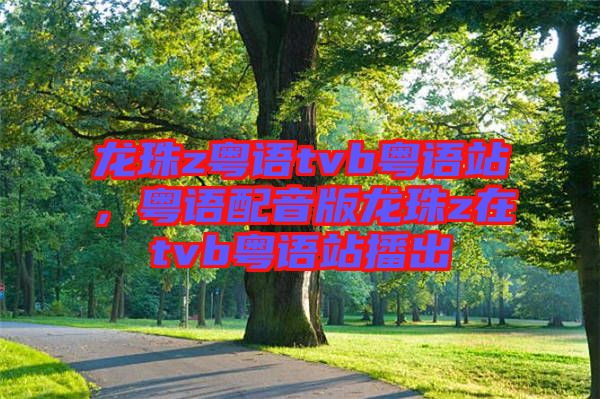 龍珠z粵語tvb粵語站，粵語配音版龍珠z在tvb粵語站播出