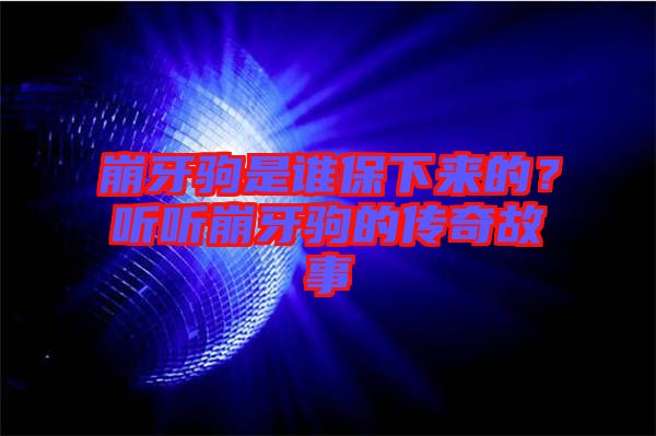 崩牙駒是誰保下來的？聽聽崩牙駒的傳奇故事