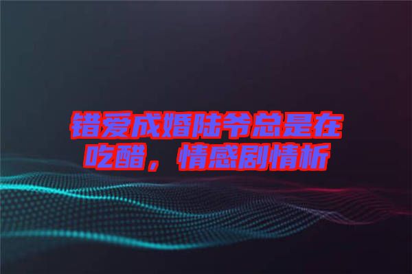 錯(cuò)愛成婚陸爺總是在吃醋，情感劇情析