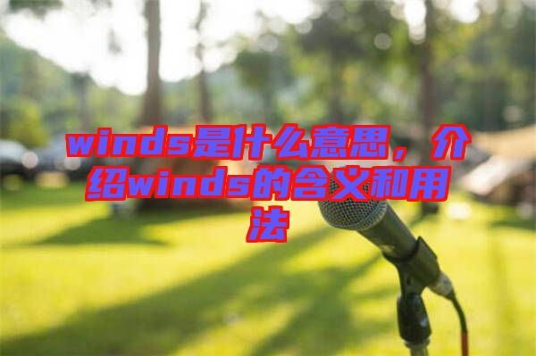winds是什么意思，介紹winds的含義和用法