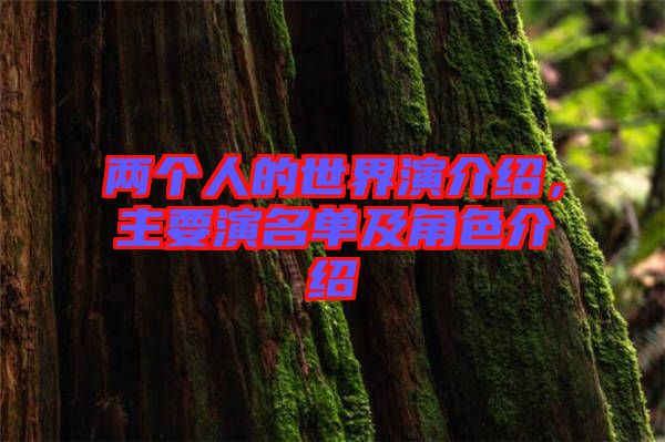 兩個人的世界演介紹，主要演名單及角色介紹