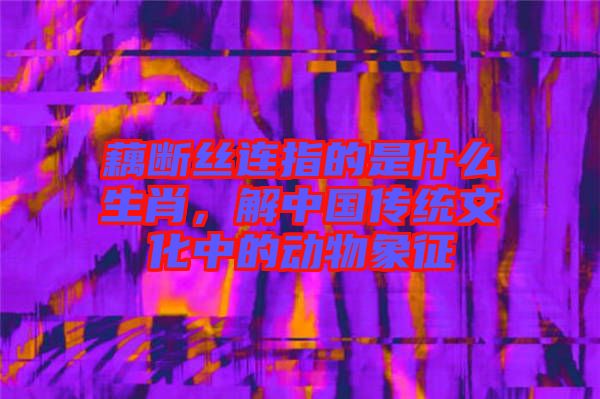 藕斷絲連指的是什么生肖，解中國傳統(tǒng)文化中的動物象征