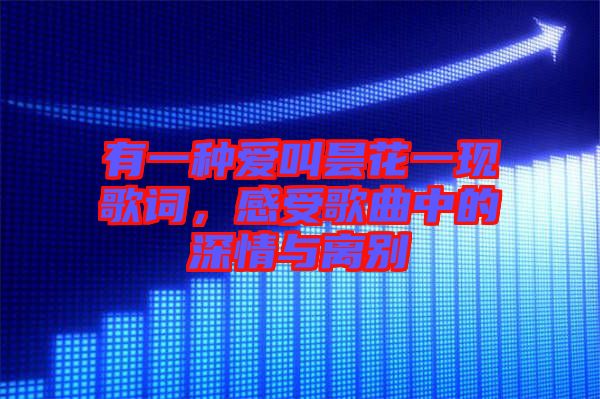 有一種愛(ài)叫曇花一現(xiàn)歌詞，感受歌曲中的深情與離別