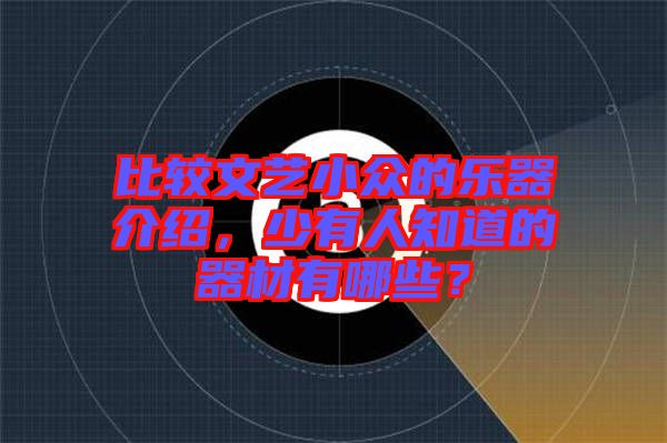 比較文藝小眾的樂器介紹，少有人知道的器材有哪些？