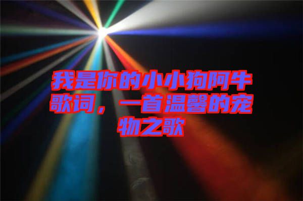我是你的小小狗阿牛歌詞，一首溫馨的寵物之歌