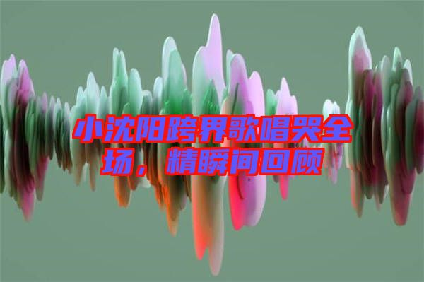 小沈陽跨界歌唱哭全場，精瞬間回顧