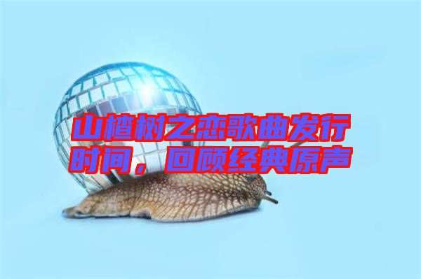 山楂樹之戀歌曲發(fā)行時間，回顧經(jīng)典原聲