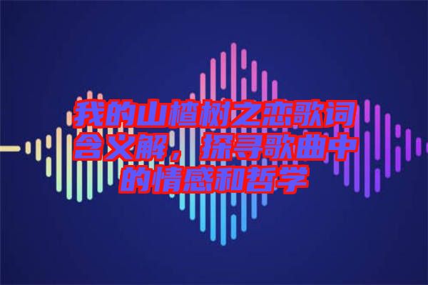 我的山楂樹之戀歌詞含義解，探尋歌曲中的情感和哲學(xué)