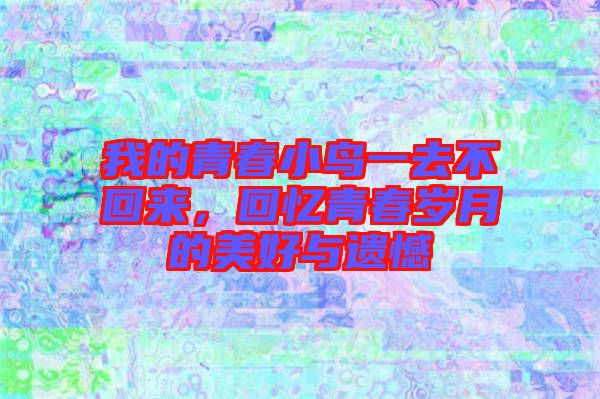 我的青春小鳥一去不回來，回憶青春歲月的美好與遺憾