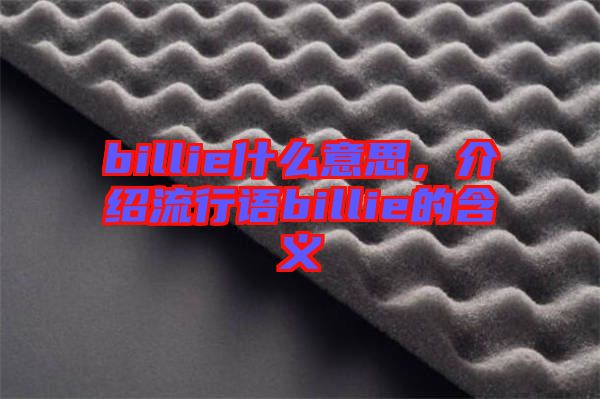 billie什么意思，介紹流行語(yǔ)billie的含義