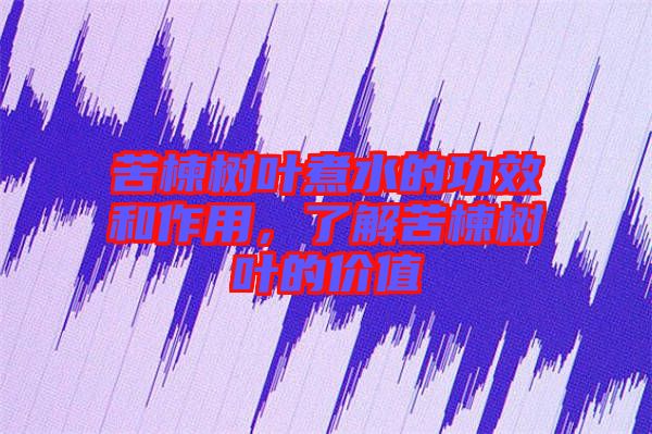 苦楝樹葉煮水的功效和作用，了解苦楝樹葉的價值