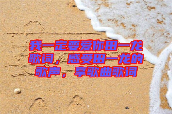 我一定要愛(ài)你田一龍歌詞，感受田一龍的歌聲，享歌曲歌詞