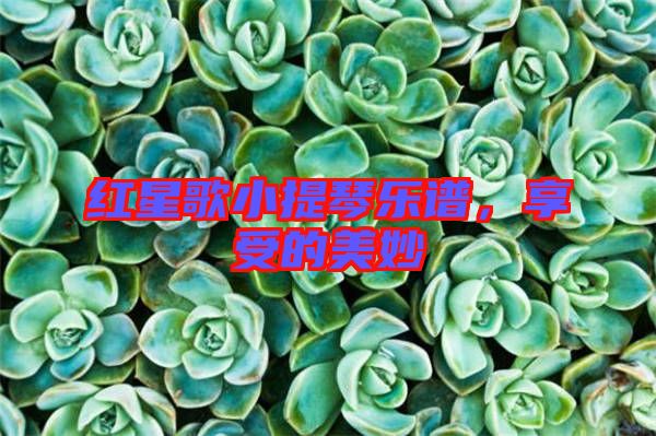 紅星歌小提琴樂譜，享受的美妙