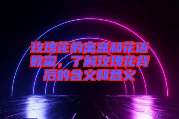玫瑰花的寓意和花語數(shù)量，了解玫瑰花背后的含義和意義