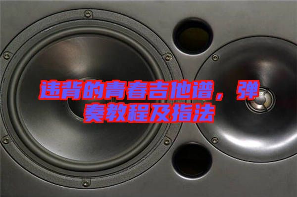 違背的青春吉他譜，彈奏教程及指法