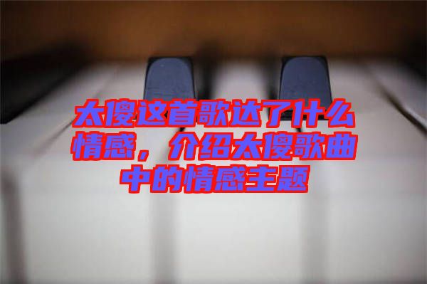 太傻這首歌達了什么情感，介紹太傻歌曲中的情感主題