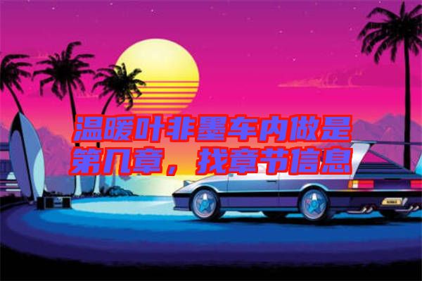 溫暖葉非墨車(chē)內(nèi)做是第幾章，找章節(jié)信息