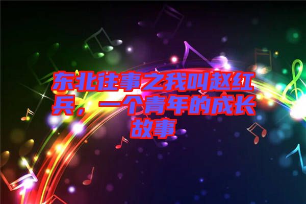 東北往事之我叫趙紅兵，一個(gè)青年的成長(zhǎng)故事