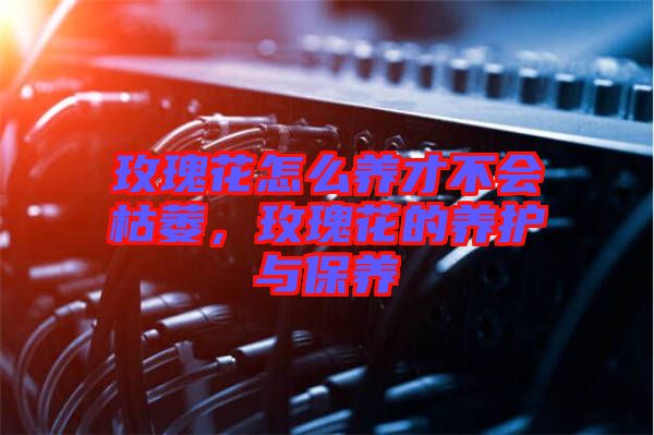 玫瑰花怎么養(yǎng)才不會枯萎，玫瑰花的養(yǎng)護與保養(yǎng)
