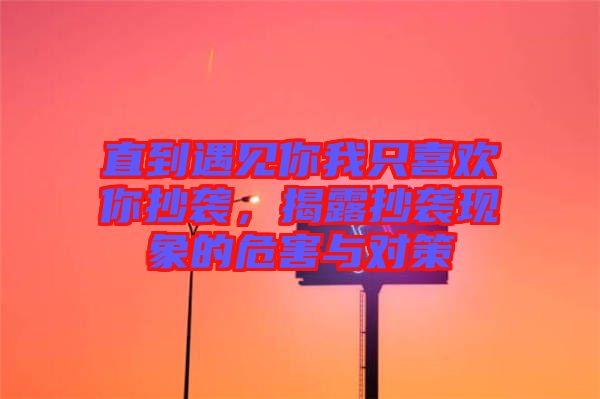 直到遇見你我只喜歡你抄襲，揭露抄襲現(xiàn)象的危害與對(duì)策