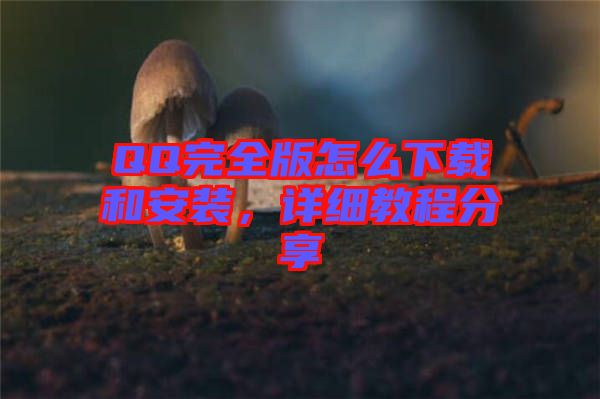 QQ完全版怎么下載和安裝，詳細(xì)教程分享