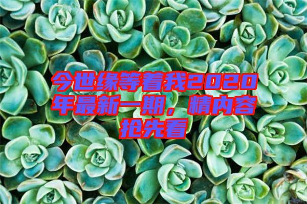 今世緣等著我2020年最新一期，精內(nèi)容搶先看