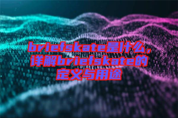 briefskate是什么，詳解briefskate的定義與用途