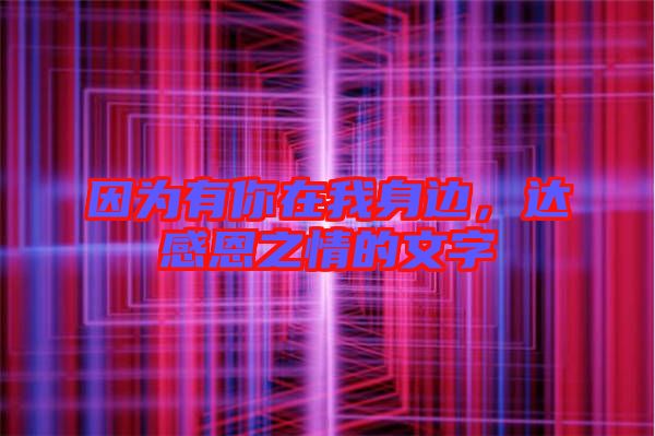 因?yàn)橛心阍谖疑磉?，達(dá)感恩之情的文字