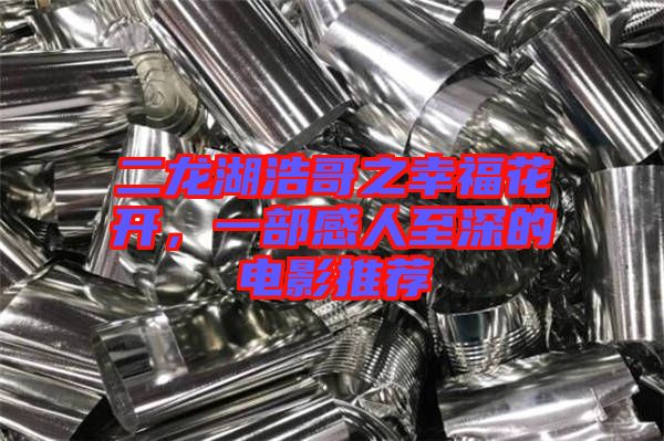 二龍湖浩哥之幸?；ㄩ_，一部感人至深的電影推薦
