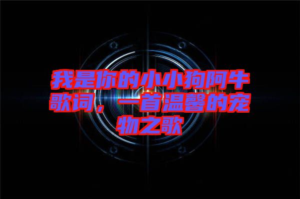 我是你的小小狗阿牛歌詞，一首溫馨的寵物之歌