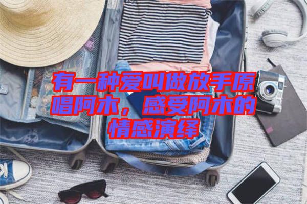 有一種愛(ài)叫做放手原唱阿木，感受阿木的情感演繹