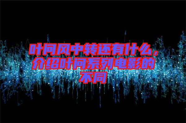 葉問風(fēng)中轉(zhuǎn)還有什么，介紹葉問系列電影的不同
