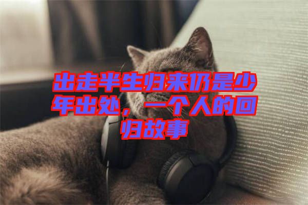 出走半生歸來仍是少年出處，一個人的回歸故事
